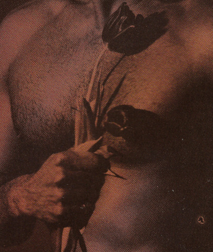 Various - AON001 - Cassette image 1