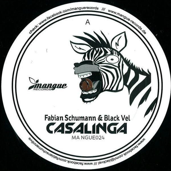 Fabian Schumann - Casalinga - Vinyl Record 12" image 1