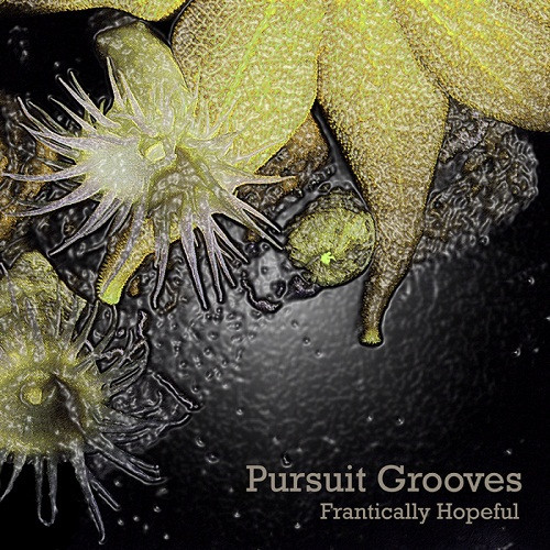 Pursuit Grooves - Frantically Hopeful - CD image 1
