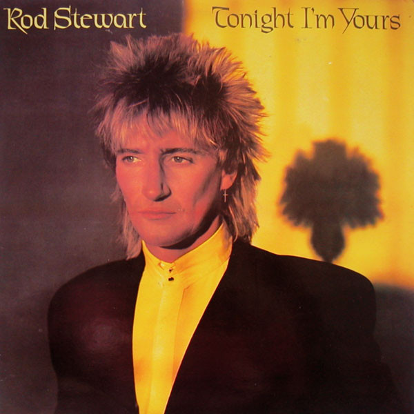 Rod Stewart - Tonight I'm Yours - Used Vinyl Record image 1