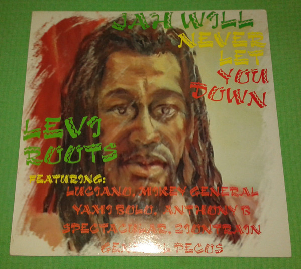 Levi Roots - Jah Will Never Let You Down - Used Vinyl Record image 1