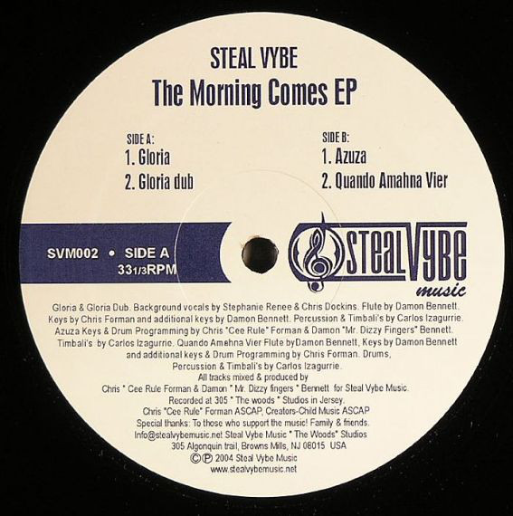 Steal Vybe - Morning Comes EP - Vinyl Record 12" image 1