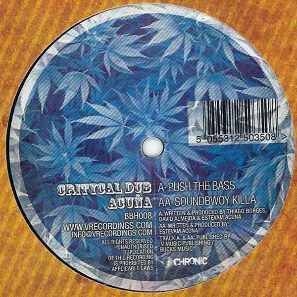 Critycal Dub - Push The Bass / Soundbwoy Killa - Vinyl Record 12" image 1