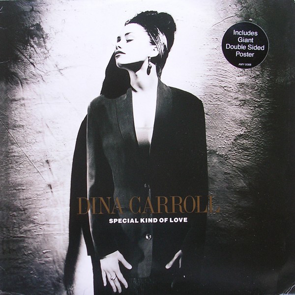 Dina Carroll - Special Kind Of Love - Used Vinyl Record 12" image 1