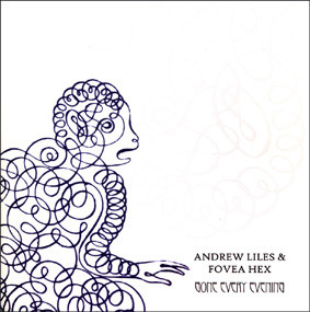 Andrew Liles - Gone Every Evening - Used Vinyl Record 7" image 1