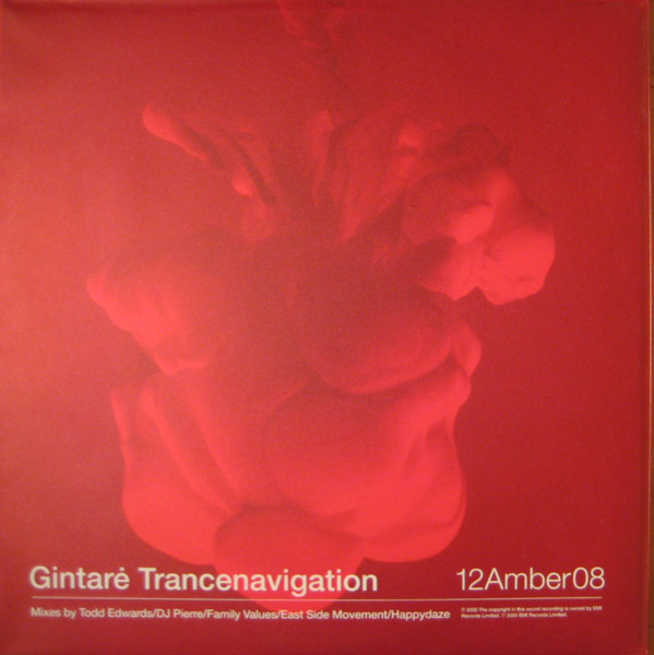 Gintare - Trancenavigation - Vinyl Record 12" image 1
