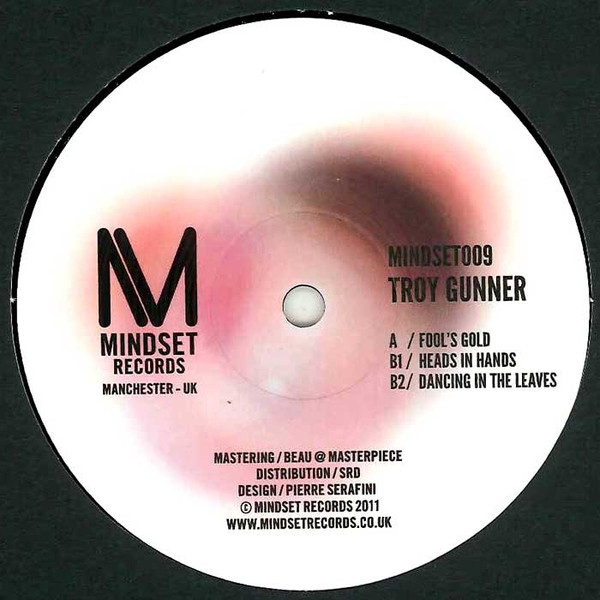 Troy Gunner - Fool's Gold - Vinyl Record 12" image 1