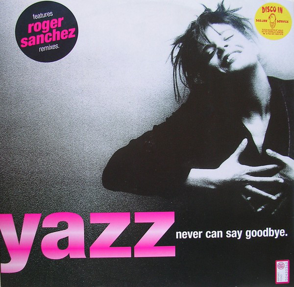 Yazz - Never Can Say Goodbye - Used Vinyl Record 12" image 1