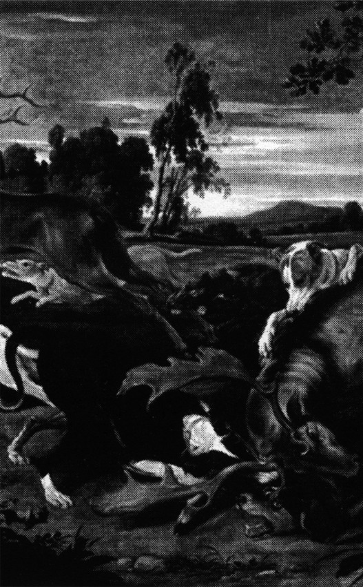 Rvnes - More Bites - Cassette image 1