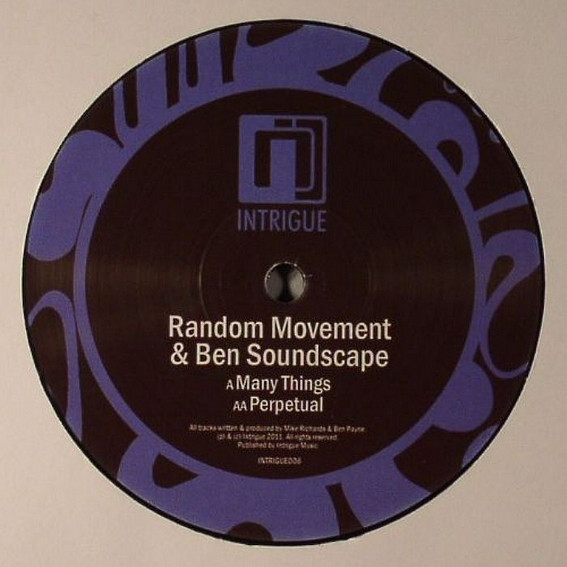 Random Movement - Many Things / Perpetual - Vinyl Record 12" image 1