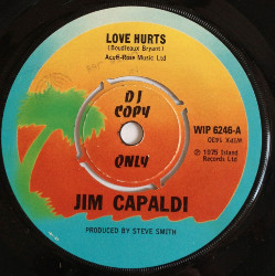 Jim Capaldi - Love Hurts - Used Vinyl Record 7" image 1