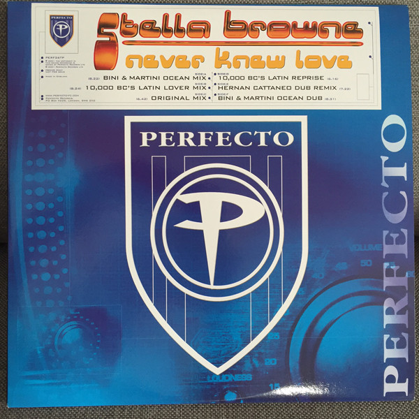 Stella Browne - Never Knew Love - Used Vinyl Record 12" image 1