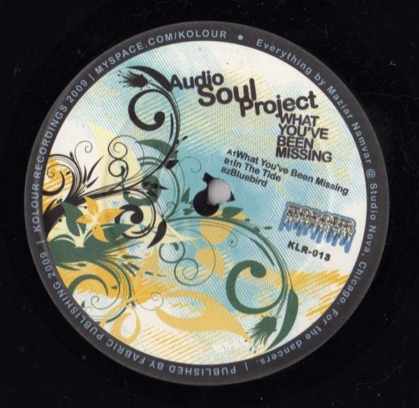 Audio Soul Project - What You've Been Missing - Vinyl Record 12" image 1