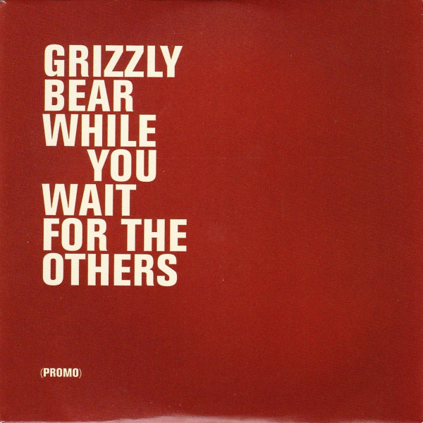 Grizzly Bear - While You Wait For The Others - Used CD image 1