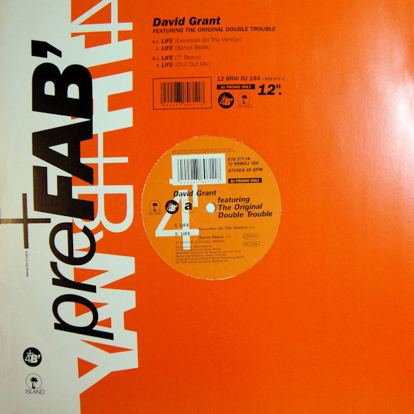 David Grant - Life - Used Vinyl Record 12" image 1
