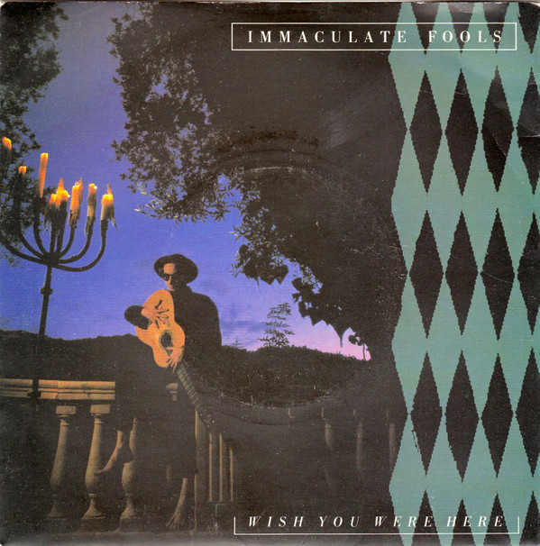Immaculate Fools - Wish You Were Here - Used Vinyl Record 7" image 1