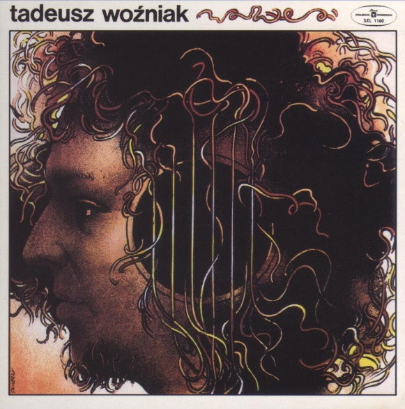 Tadeusz Woźniak - Odcień Ciszy - Used Vinyl Record image 1