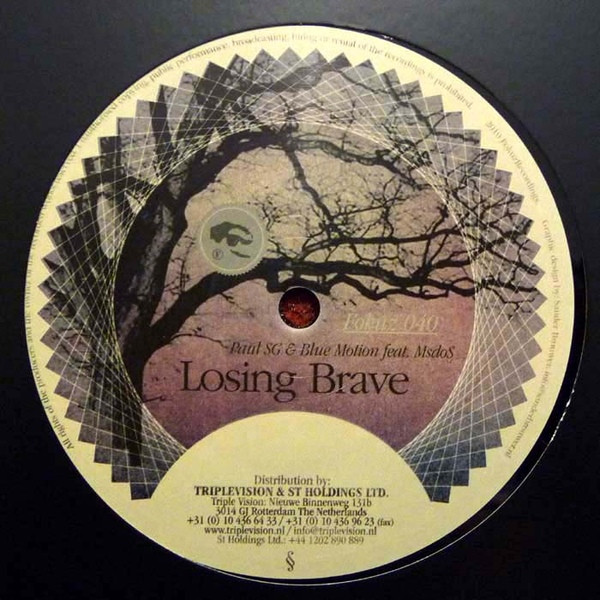 Various - Methany / Losing Brave - Vinyl Record 12" image 1