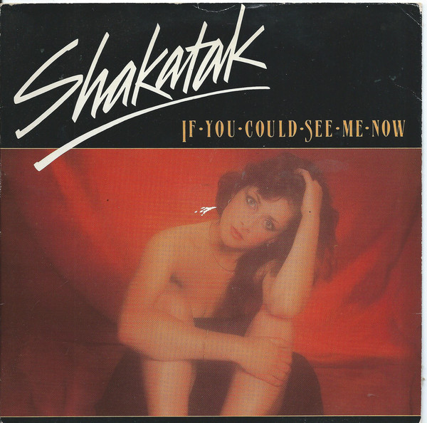 Shakatak - If You Could See Me Now - Used Vinyl Record 7" image 1