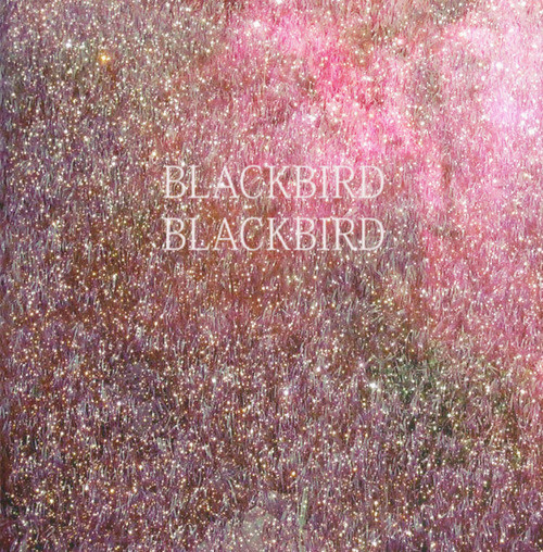Blackbird Blackbird - Summer Heart - CD image 1