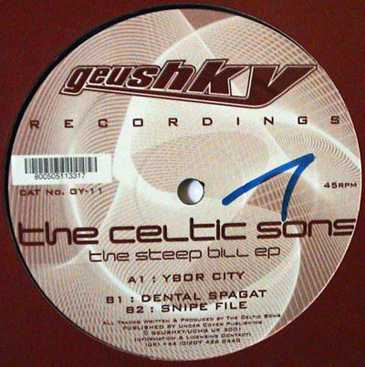 Celtic Sons - Steep Bill EP - Used Vinyl Record 12" image 1