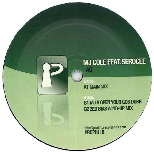 MJ Cole - AO - Vinyl Record 12" image 1