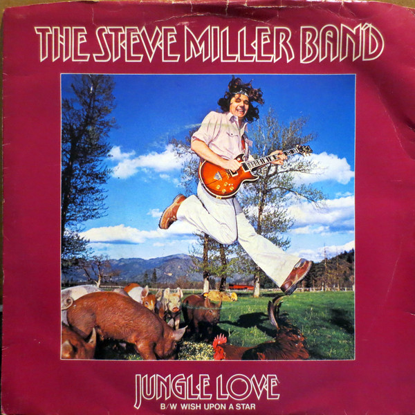 Steve Miller Band - Jungle Love - Used Vinyl Record 7" image 1