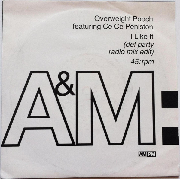Overweight Pooch - I Like It - Used Vinyl Record 7" image 1