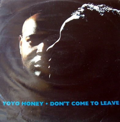 Yo Yo Honey - Don't Come To Leave - Used Vinyl Record 12" image 1
