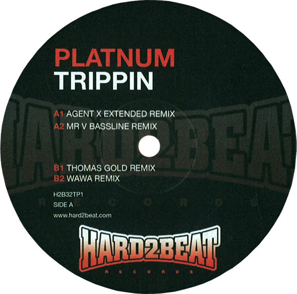 Platnum - Trippin - Vinyl Record 12" image 1