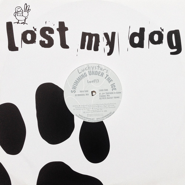 Luckystars - Swimming Under The Ice - Used Vinyl Record 12" image 1