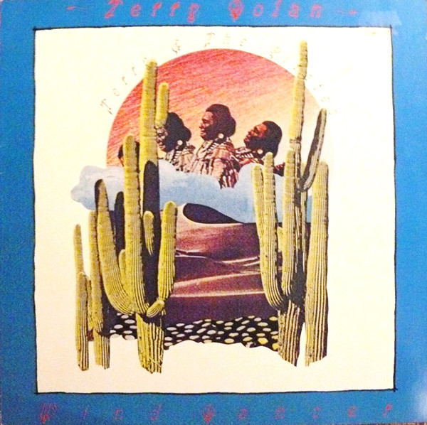 Terry Dolan - Wind Dancer - Used Vinyl Record image 1