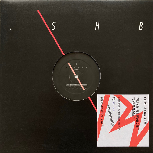 Cause 4 Concern - Makes Me Wonder / Chameleon - Vinyl Record 12" image 1