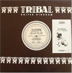 DJ Pierre - Muzik Set You Free - Used Vinyl Record 12" image 1