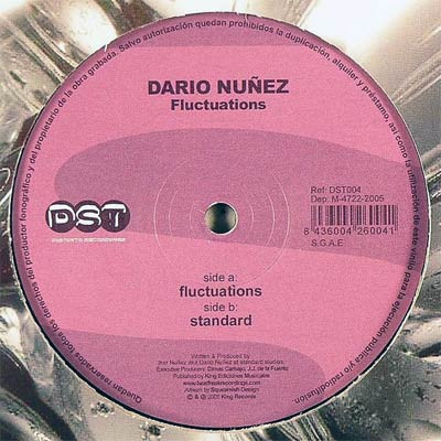 Dario Núnez - Fluctuations - Used Vinyl Record 12" image 1