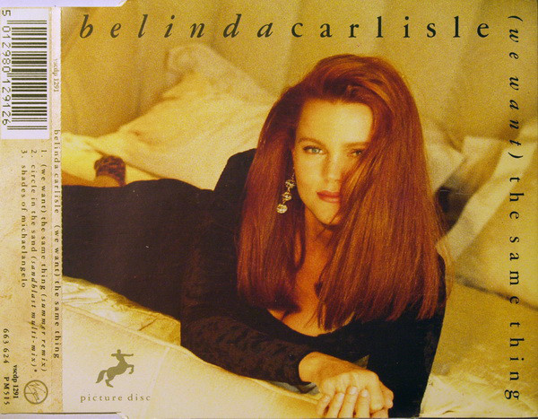 Belinda Carlisle - (We Want) The Same Thing - Used CD image 1
