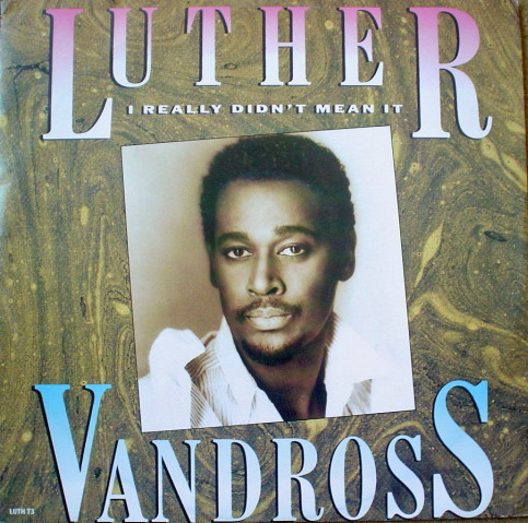 Luther Vandross - I Really Didn't Mean It - Used Vinyl Record 12" image 1