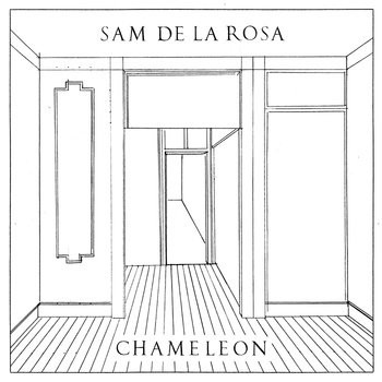 Sam De La Rosa - Chameleon - Used Vinyl Record 12" image 1
