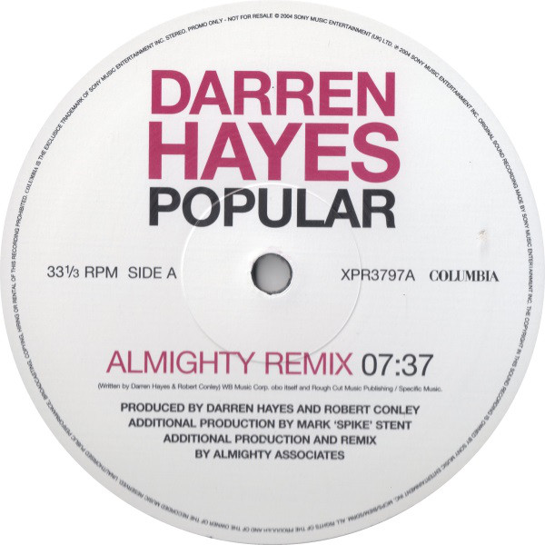 Darren Hayes - Popular - Vinyl Record 12" image 1