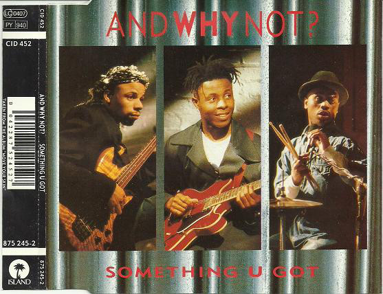 And Why Not? - Something U Got - Used CD image 1