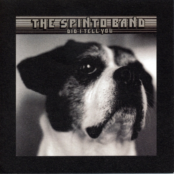 Spinto Band - Did I Tell You - Used Vinyl Record 7" image 1