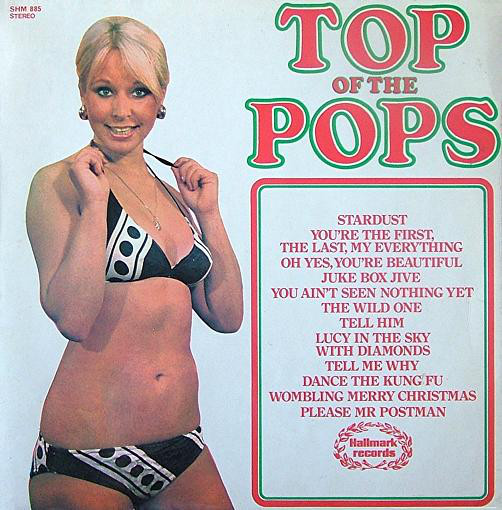 Unknown Artist - Top Of The Pops Vol. 42 - Used Vinyl Record image 1