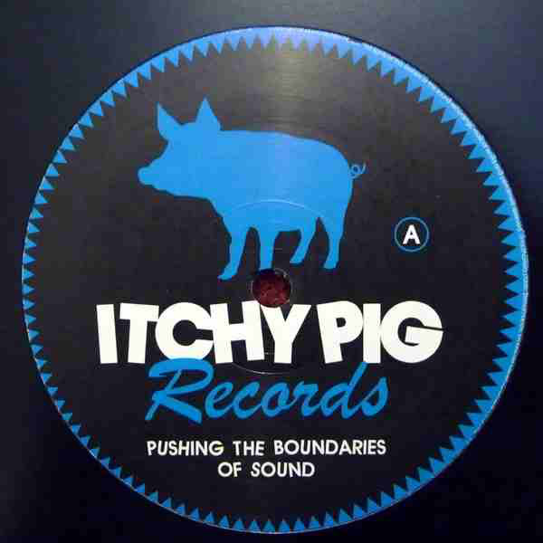 Sir Vinyl Instinct - Growing History - Vinyl Record 12" image 1