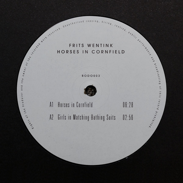 Frits Wentink - Horses In Cornfield - Vinyl Record 12" image 1