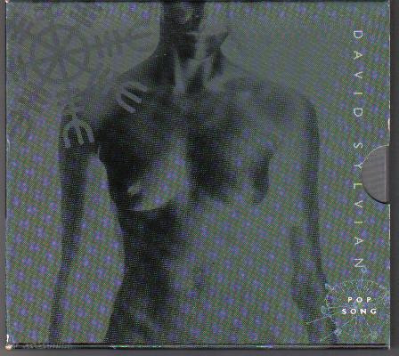 David Sylvian - Pop Song - Used CD image 1
