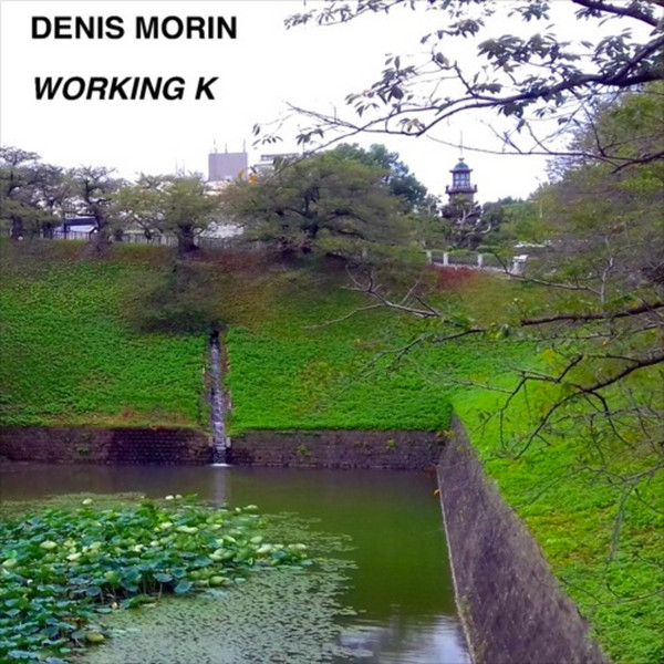 Denis Morin - Working K - Vinyl Record 12" image 1