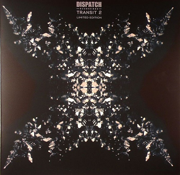 DLR - Pain / Entropy - Vinyl Record 10" image 1