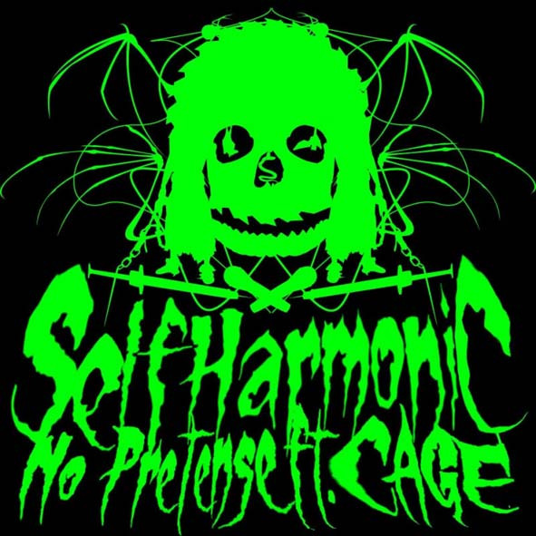No Pretense - Self Harmonic - Vinyl Record 7" image 1