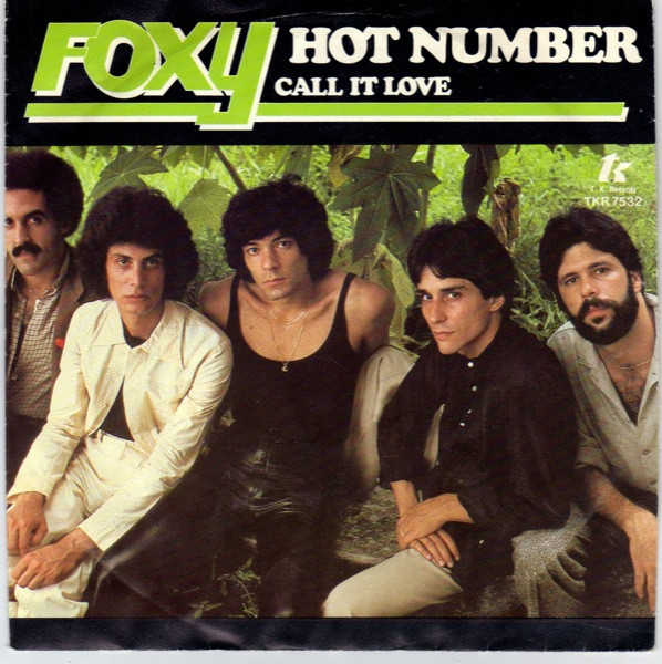 Foxy - Hot Number - Used Vinyl Record 7" image 1