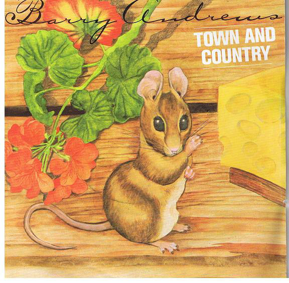 Barry Andrews - Town And Country - Used Vinyl Record 7" image 1